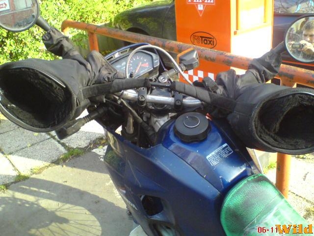 Vedekezés a ´Hűvösebb napokon´....
(Bp. Petőfi csarnoknál)