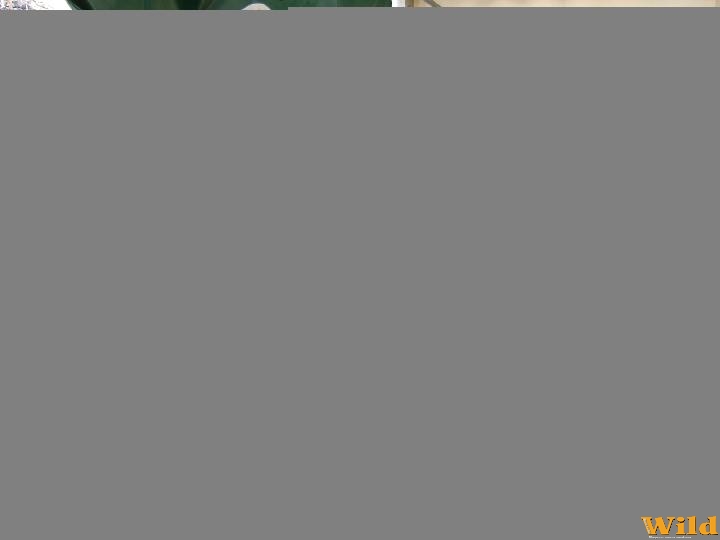 Étel osztás kecskeméten....néha jó ADNI!
