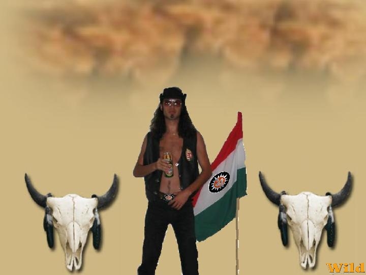 Szabadság,szeretem!!!