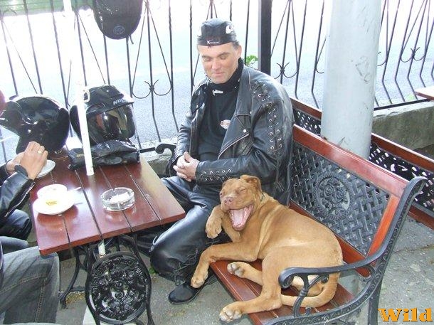 Balatonkör 2007. 
Indulás előtti kávé!