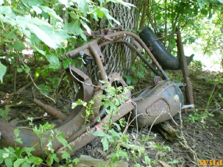 Velünk pusztuló történelem?
(Felfedező körút)