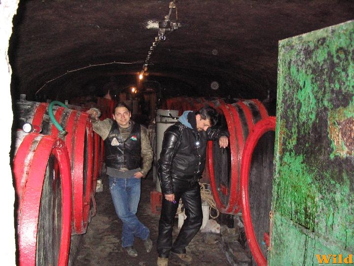 Szomorú legények,
nem ihattak szegények.
(csak egy kicsit:))