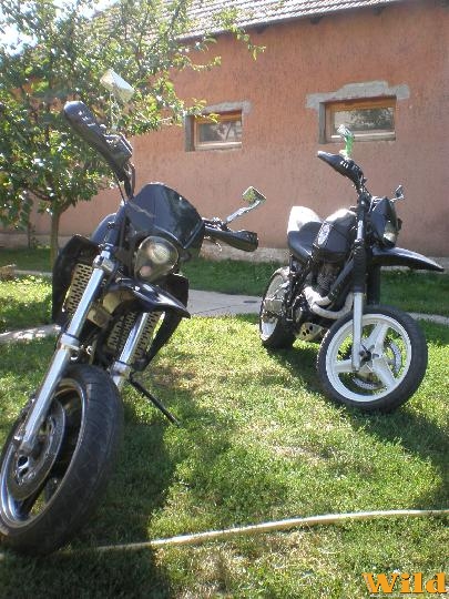 ...avagy a kakukktojás...
