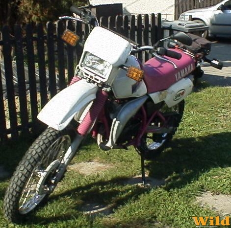 Szemem fénye !
        DT 80 LC II
       roszka motorja