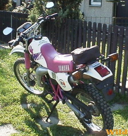 nincs más szó!
                DT